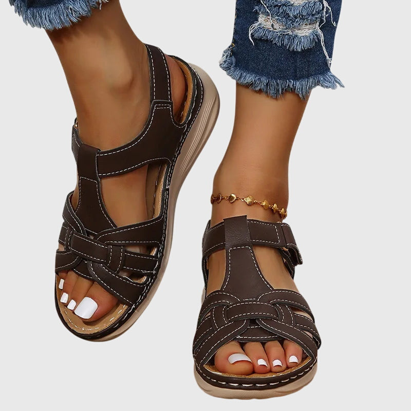 Marron foncé / 43