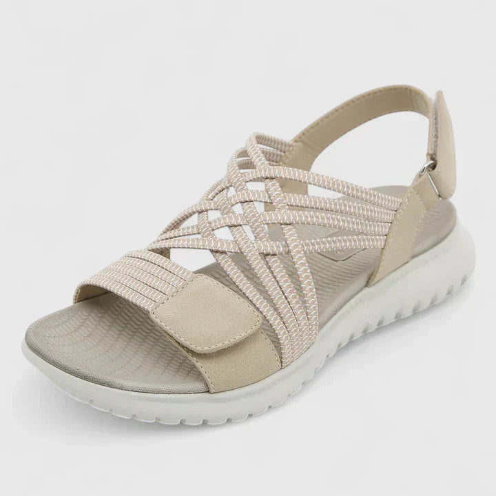 Beige / 41