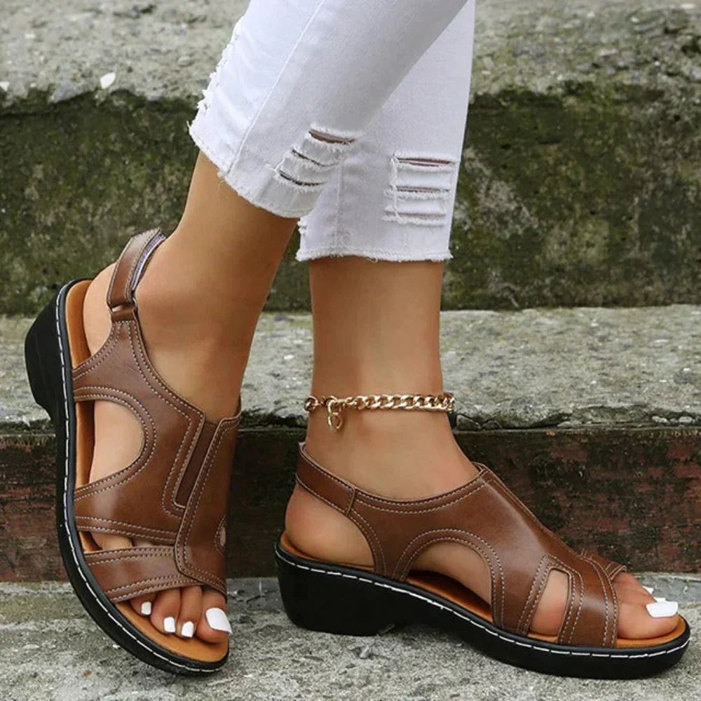 Marron / 43